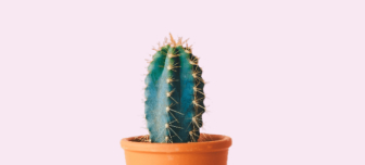 Image de blog minimaliste